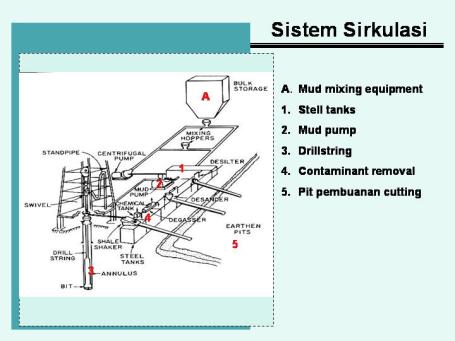 System Sirkulasi